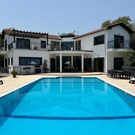 Amelia Villa
